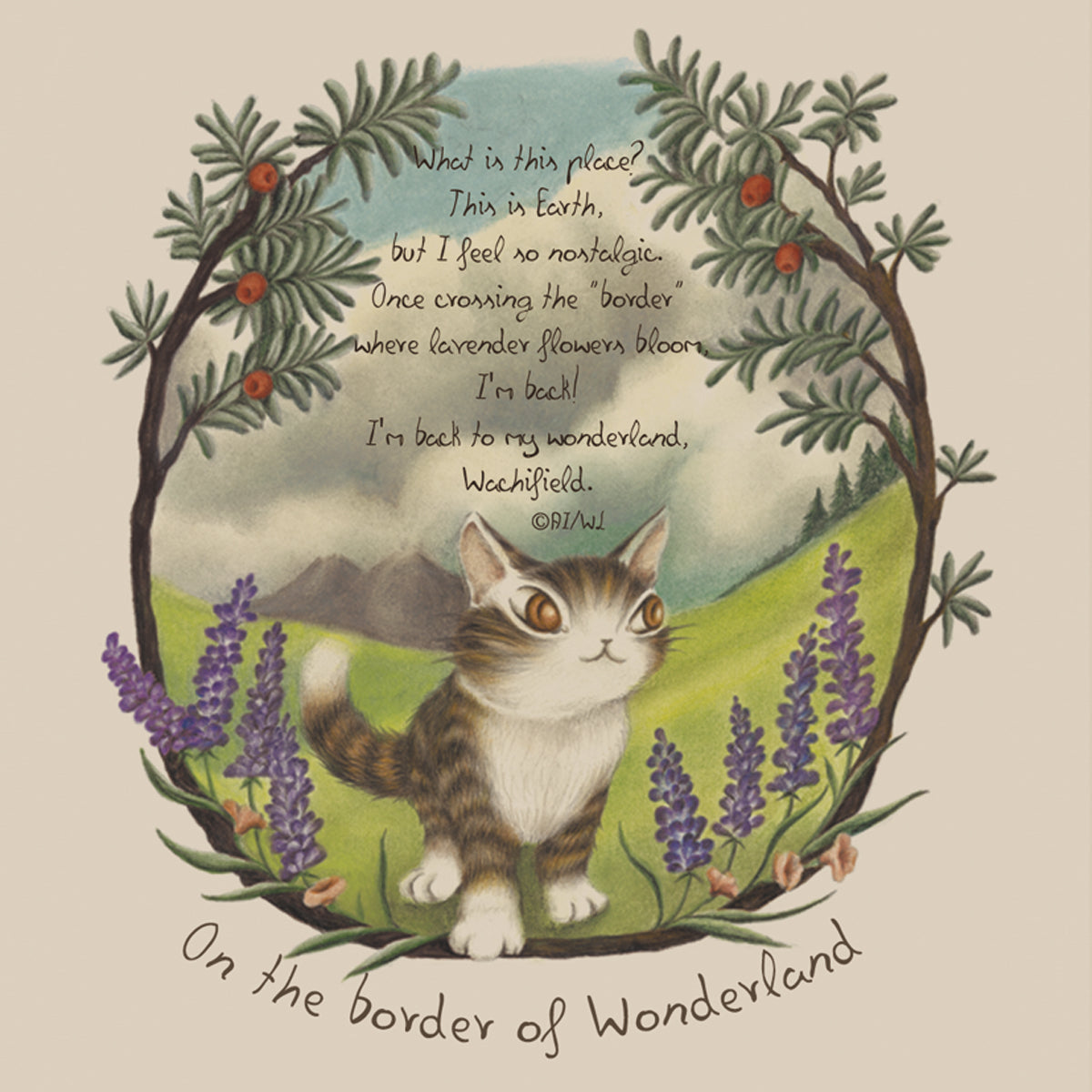 境目オーバーT М LBe