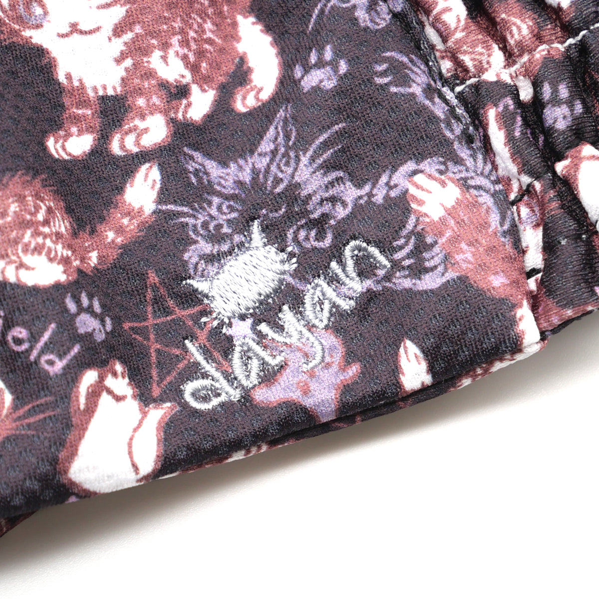 2WAYクールバンド 狙う猫・DB