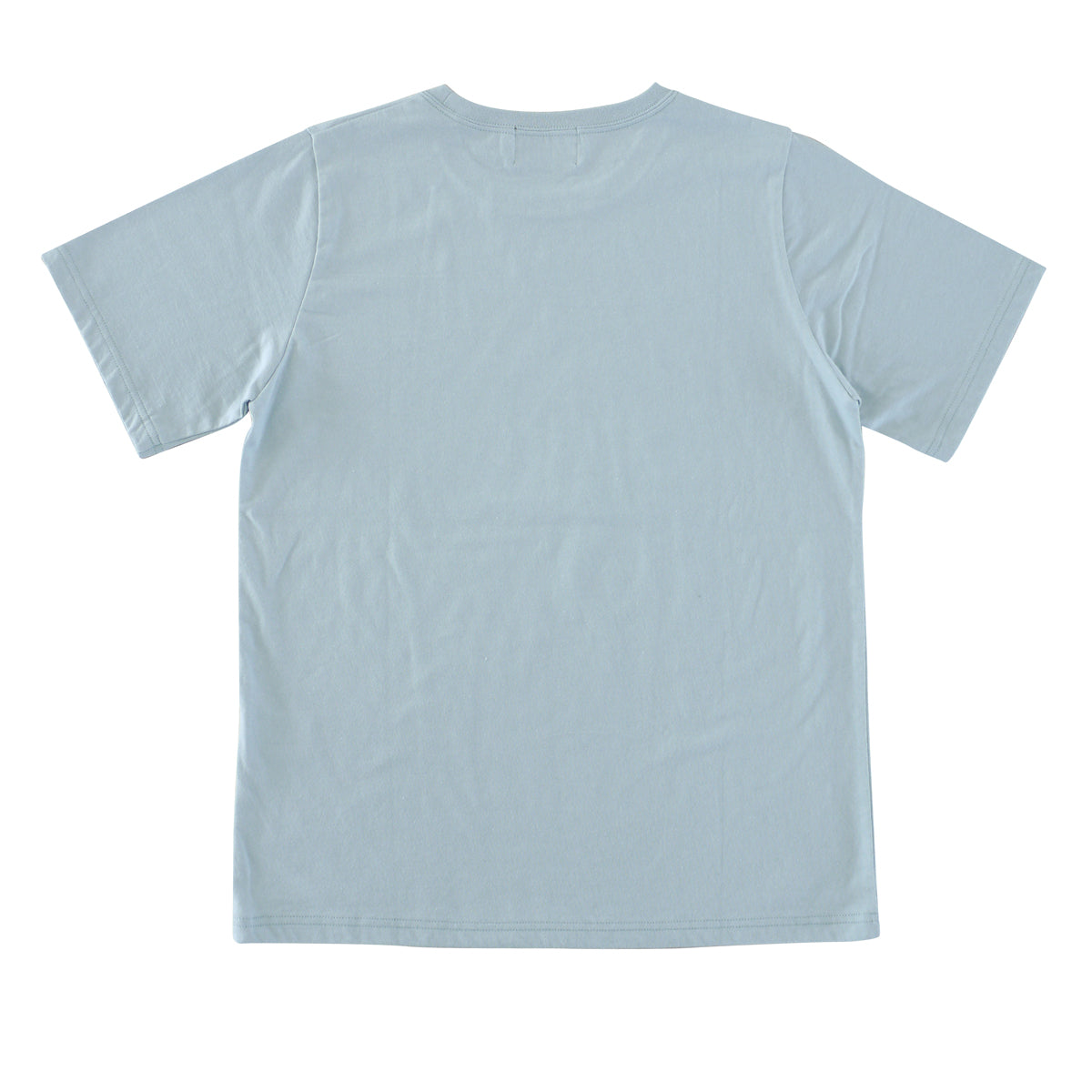 シギショアラアートT М ミント