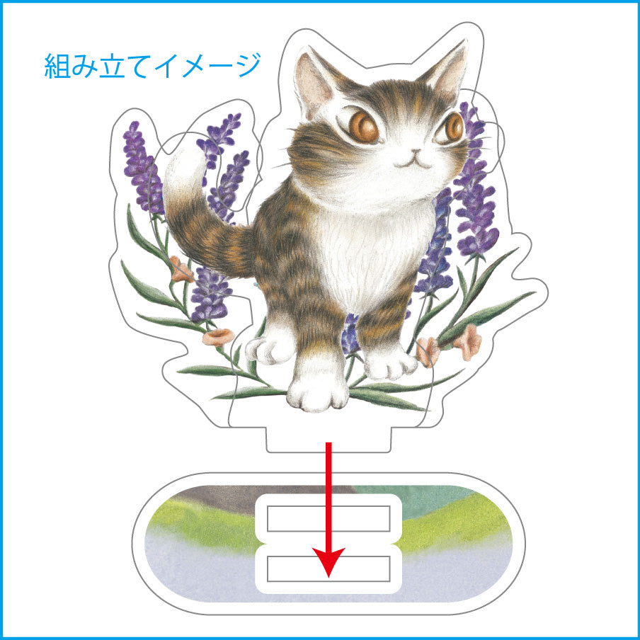 アクリルスタンド 境目