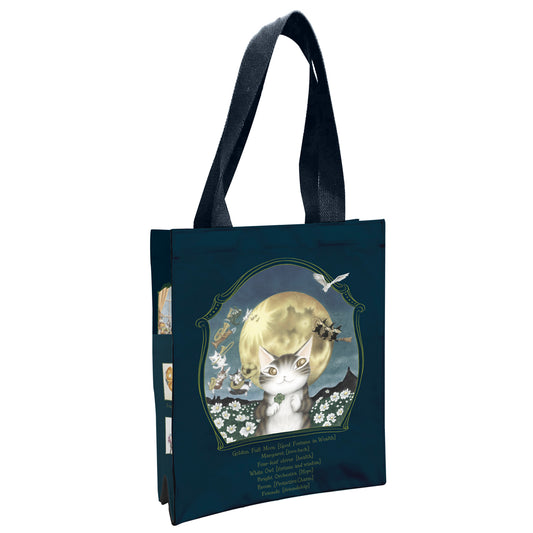 【予約】５ポケットレッスン ７つのつきの夜