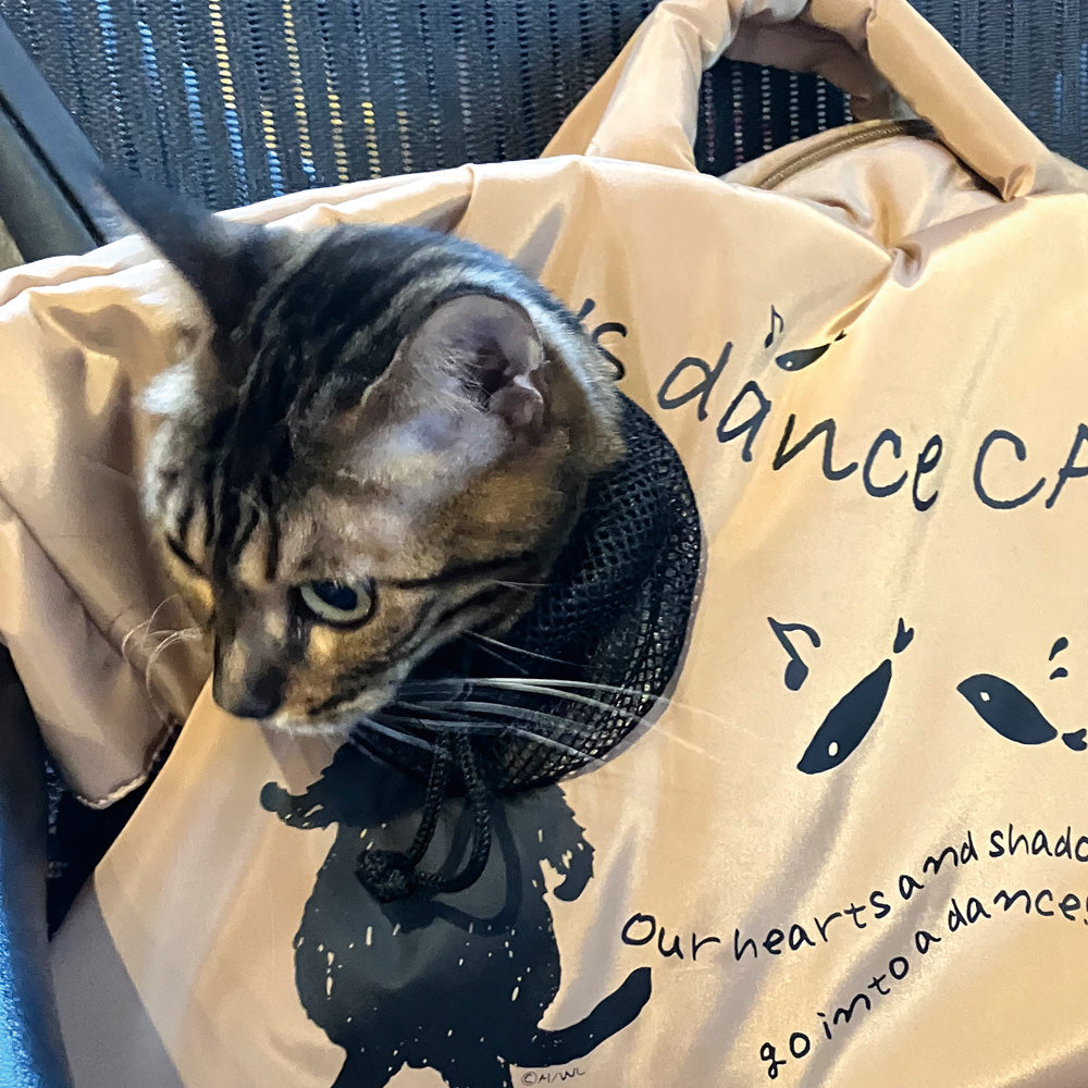ダンス猫顔出しキャリーバッグ