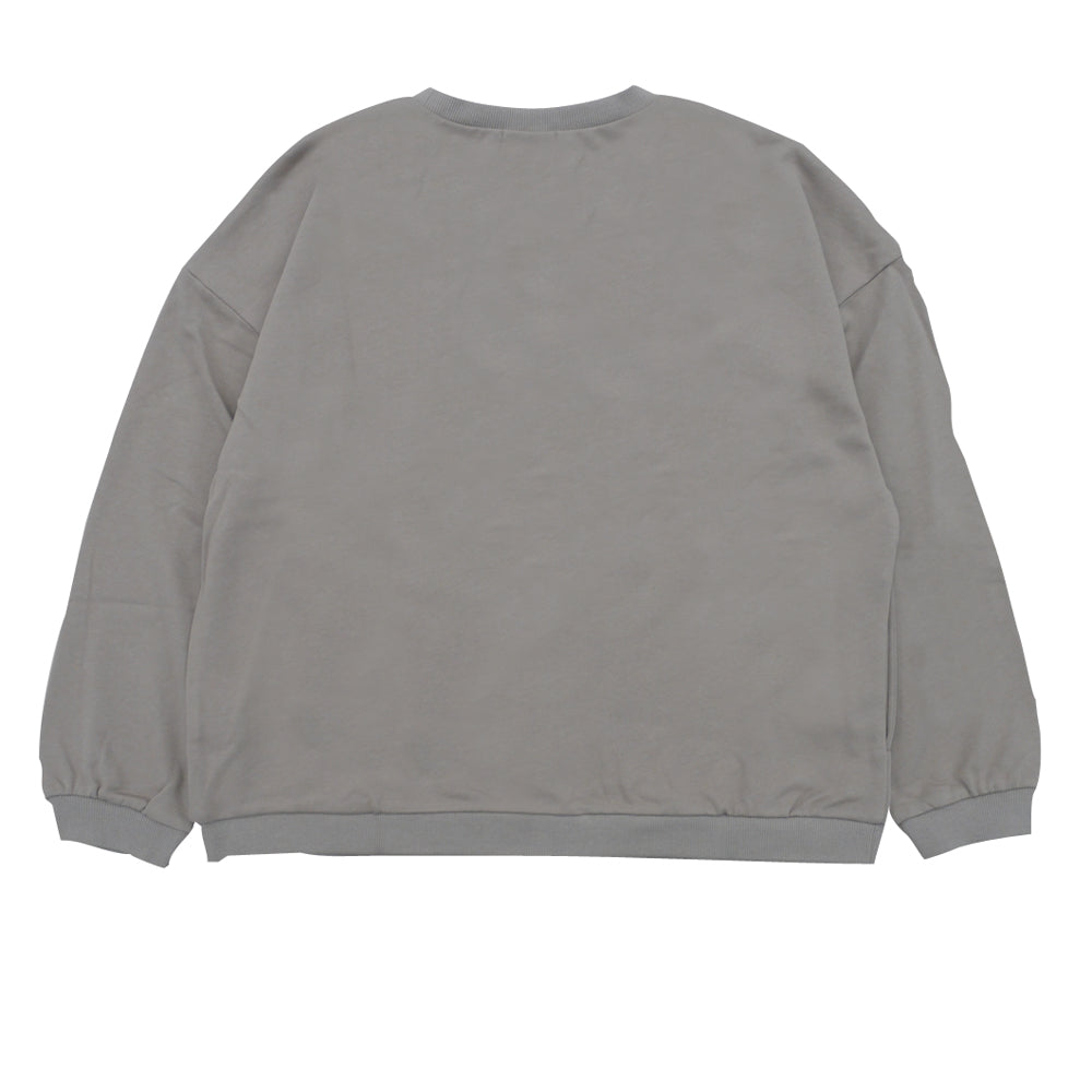 【予約】猫ポケSW　F　 スライドF　GS