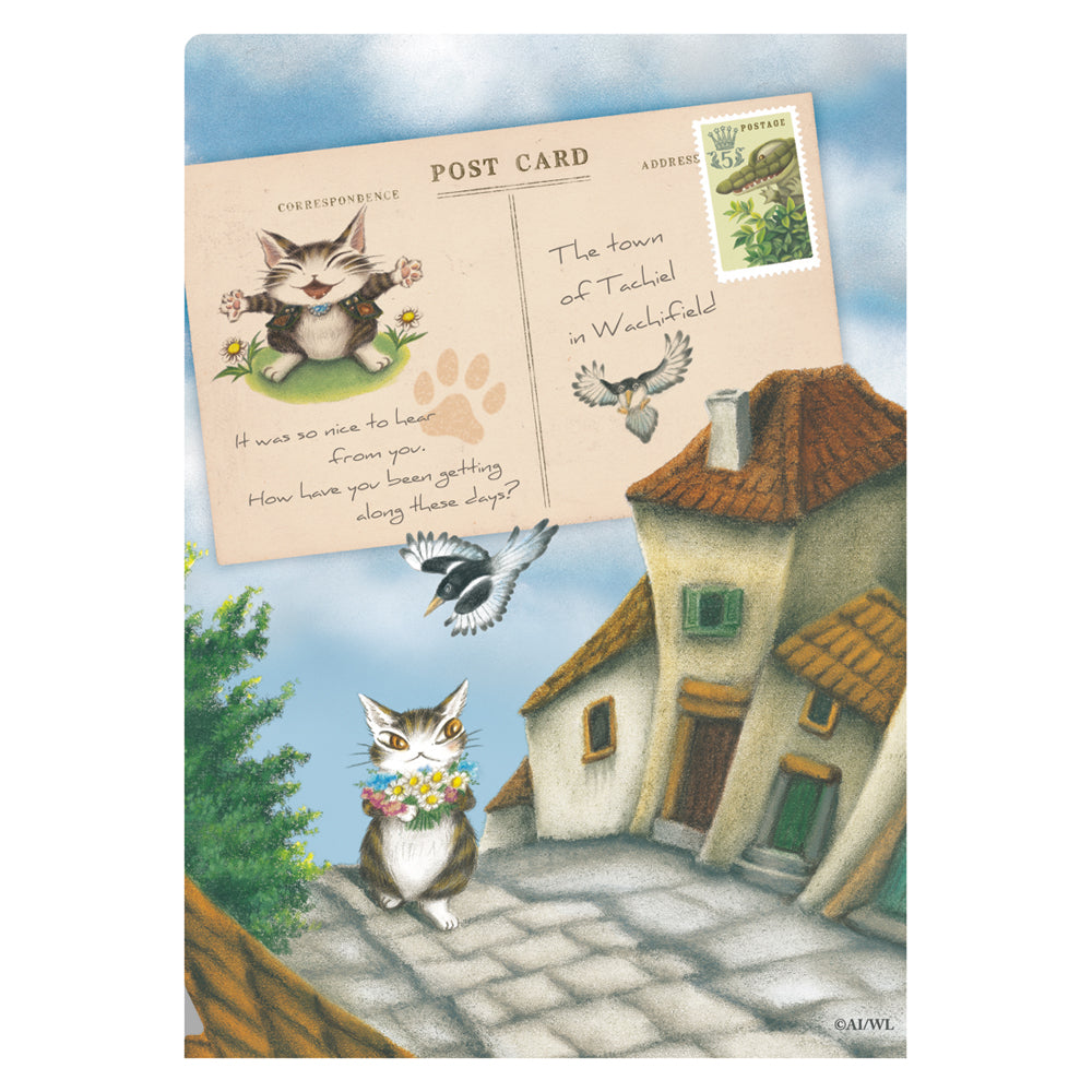 ３ポケＡ５ファイル うんのいいねこ