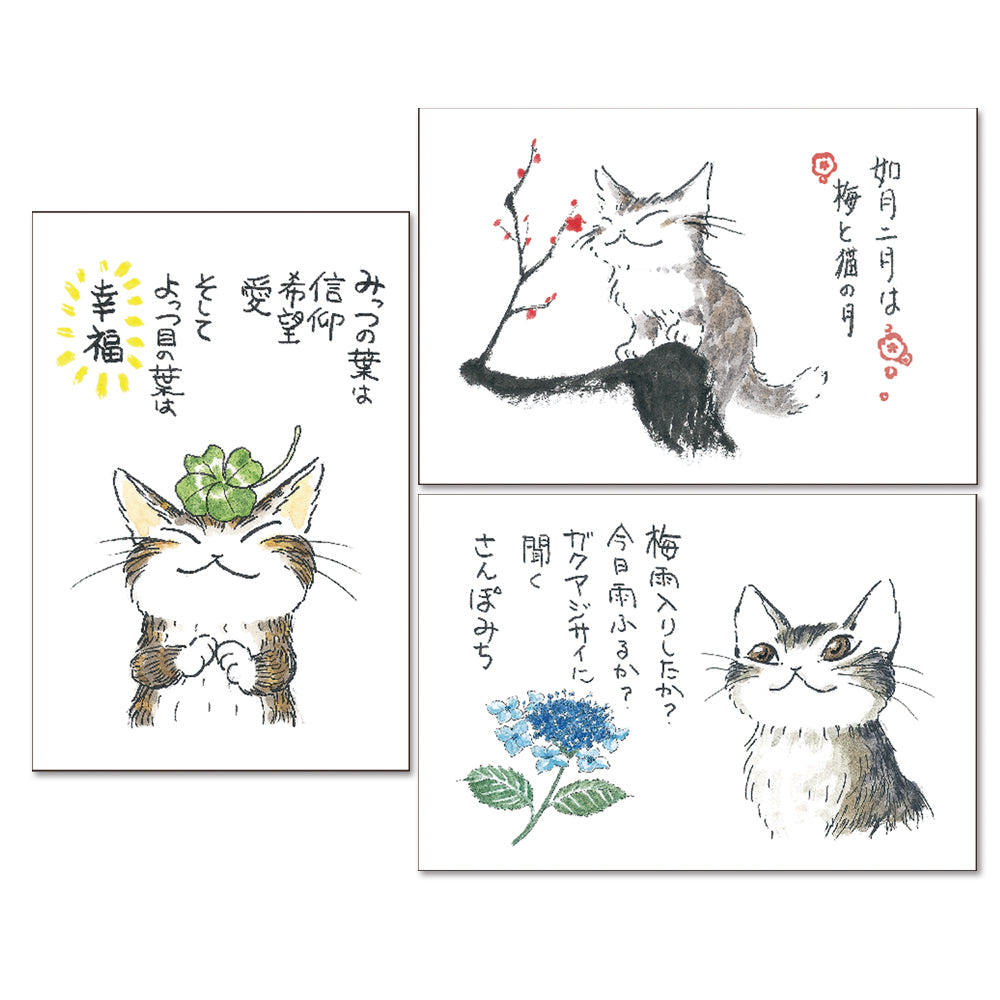 【予約】ポストカード３枚セット ひとこと占い