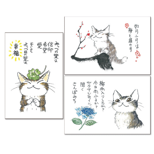 【予約】ポストカード３枚セット ひとこと占い