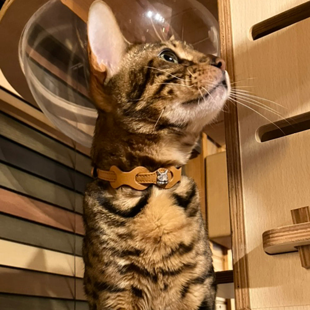 【予約】レザーリング猫首輪 キャメル